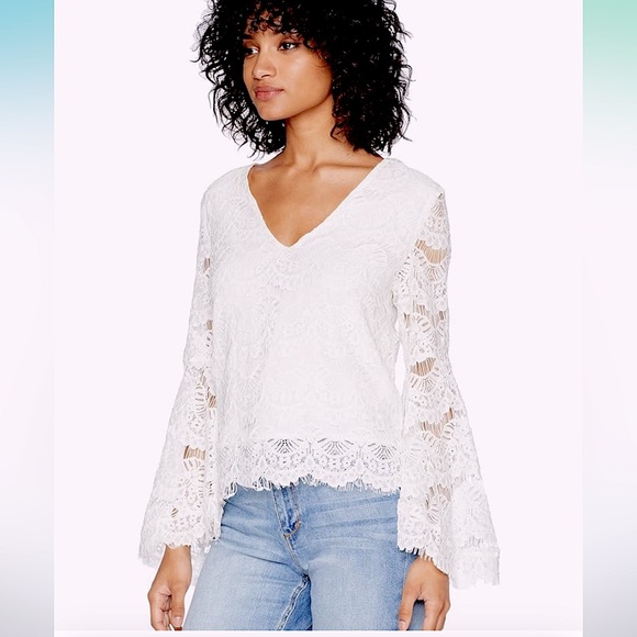 Mink pink lace bell sleeve top - Picture 2 of 8